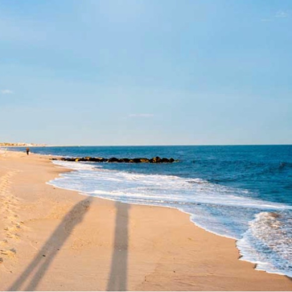 Meet your Posher, Jenny